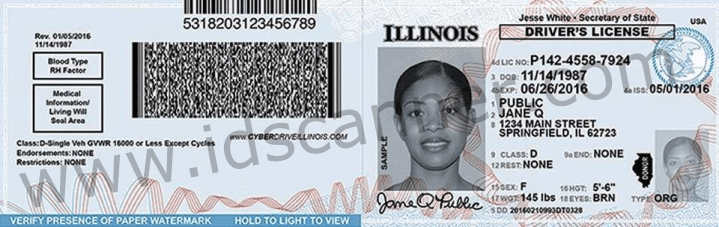 illinois drivers license barcode generator